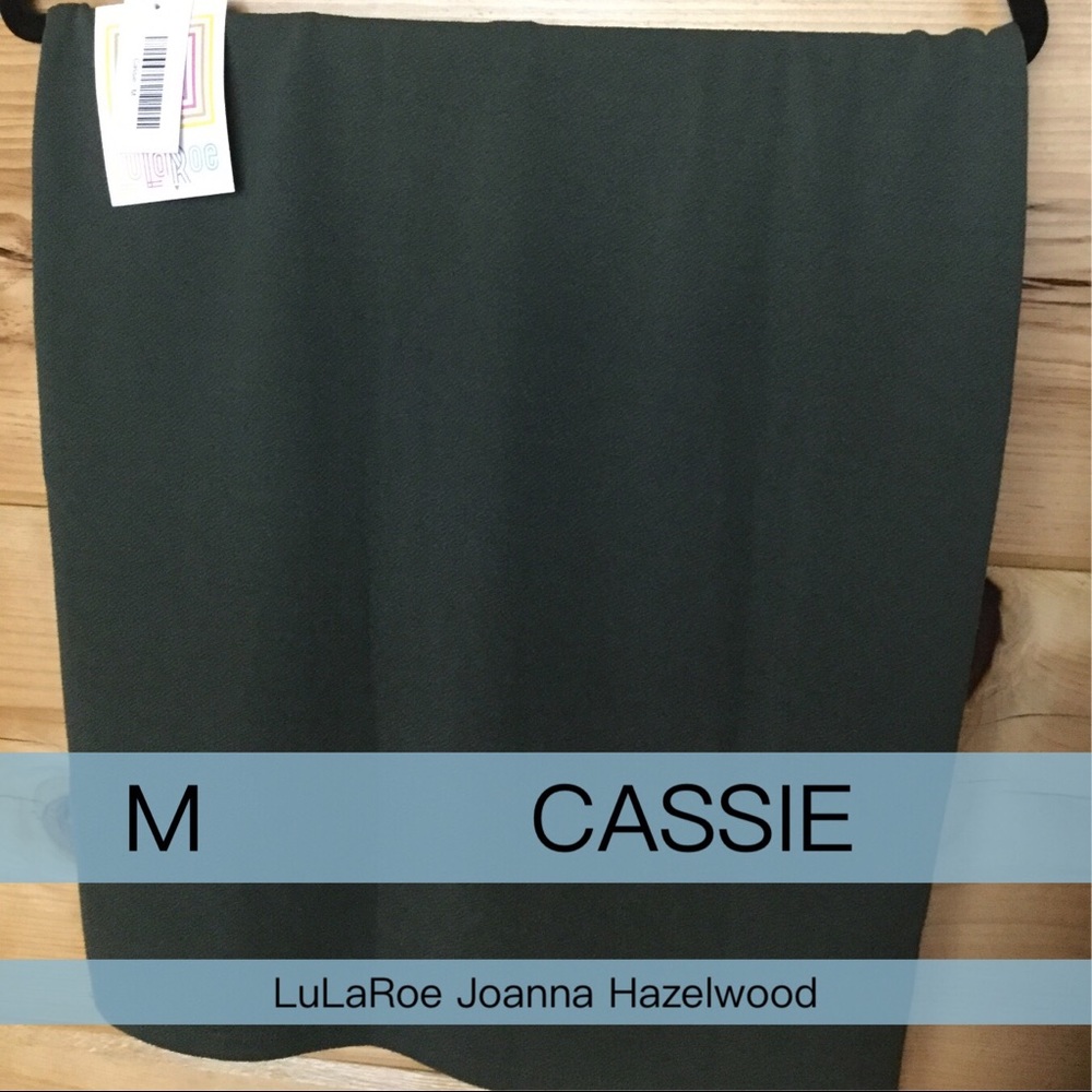 NWT M LuLaRoe Olive Cassie Skirt